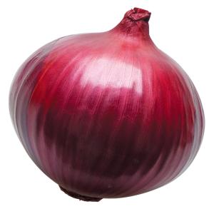 国華園 種 野菜たね タマネギ (早生)レッド...の詳細画像1