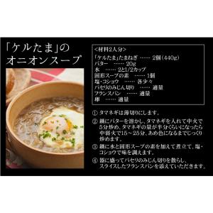 国華園 種 野菜たね タマネギ (中晩生)F1...の詳細画像5