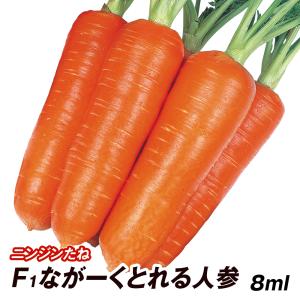 花と緑 国華園 - ニンジン(野菜たね)|Yahoo!ショッピング 花と緑 国華園 - ニンジン(野菜たね)|Yahoo!ショッピング