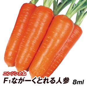 種 野菜たね ニンジン F1ながーくとれる人参 1袋（8ml） にんじん 人参 やさいたね タネ 国華園 こっかえん｜花と緑 国華園