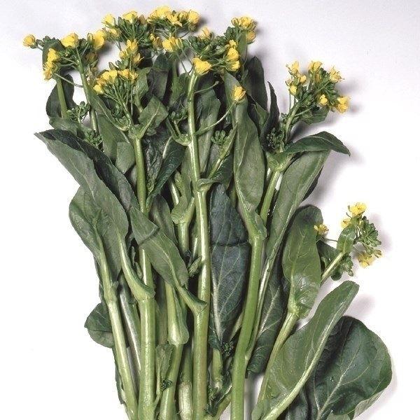 種 野菜たね 菜類 ツケナ オータムポエム アスパラ菜 1袋（1ml） 野菜の種 国華園