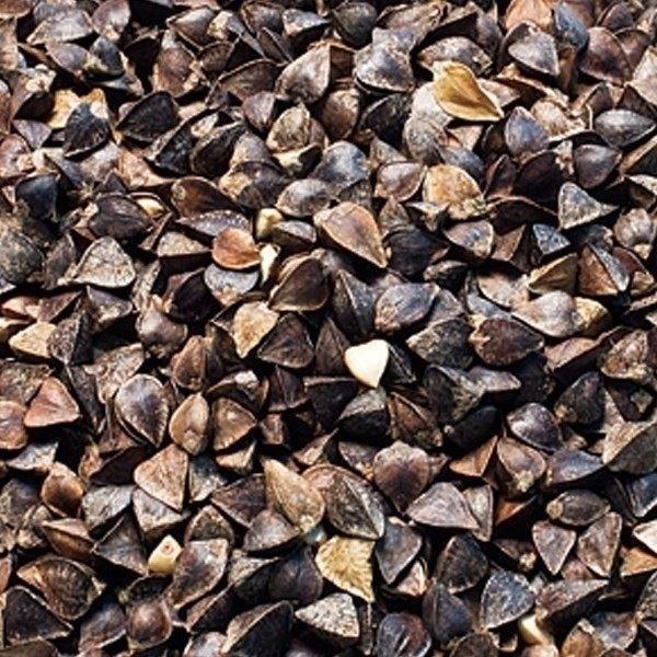 種 野菜たね 穀物 そば 信濃一号 1袋（1kg）しなの 蕎麦 soba 穀物 こくもつ 野菜の種 ...