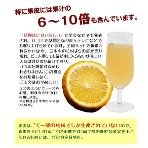 国華園 カンキツ苗 じゃばら 1株 接木1年生...の詳細画像3