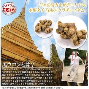 国華園 種いも 黒ウコン 500g / うこん...の詳細画像2