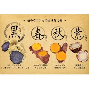 国華園 種いも 黒ウコン 500g / うこん...の詳細画像3