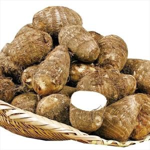 種いも 里いも 千葉産 土垂3kg / 里芋 里いも 里イモ さといも 種芋 タネイモ 家庭菜園 自家菜園 どたれ