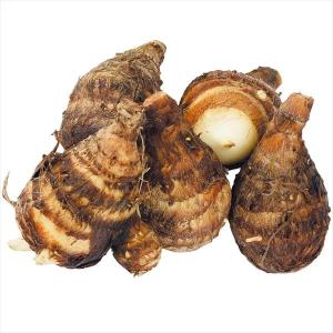 種いも 里いも 八ツ子 1kg / 里芋 里いも 里イモ さといも 種芋 タネイモ 家庭菜園 自家菜園 オススメ 美味しい ホックリ 縁起がいい 貯蔵