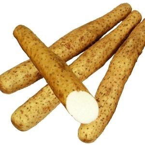 山いも種芋 長いも ねばりいも 10個 / 山芋 やまいも ヤマイモ 長芋 ながいも ナガイモ ねばり芋 粘り 粘る ねばる とろろ 美味しい 絶品