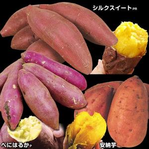 イモヅル(芋づる) 大人気さつまいもイモヅルセット 3種30...