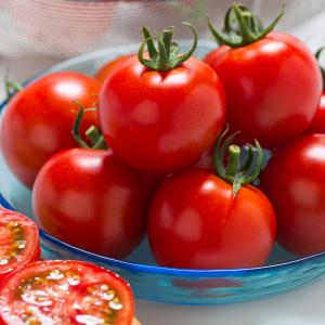 接木野菜苗 中玉トマト 接木F1フルティカR（農林水産省登録品種 登録名：タキイミディ195）PVP 2株 やさいなえ なえ 国華園