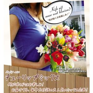 国華園 チューリップ 球根 5種ミックス (無...の詳細画像3