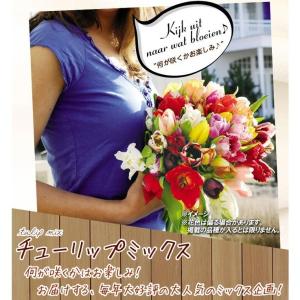 国華園 チューリップ 球根 5種ミックス (無...の詳細画像2