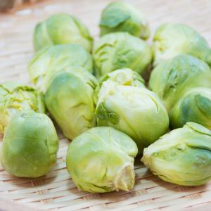 国華園 種 野菜たね キャベツ 芽キャベツ 1...の詳細画像5