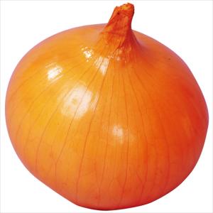 国華園 種 野菜たね タマネギ (晩生)F1う...の詳細画像1