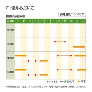 国華園 種 野菜たね ダイコン F1優秀おだい...の詳細画像5