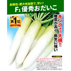 国華園 種 野菜たね ダイコン F1優秀おだい...の詳細画像2