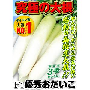 国華園 種 野菜たね ダイコン F1優秀おだい...の詳細画像3