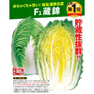 国華園 種 野菜たね ハクサイ F1蔵錦 1袋...の詳細画像2