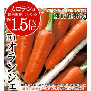 国華園 種 野菜たね ニンジン F1オランジェ...の詳細画像1