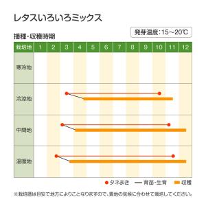 国華園 種 野菜たね ベビーリーフ レタスいろ...の詳細画像2