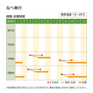 国華園 種 野菜たね 春菊 なべ奉行 1袋(2...の詳細画像1