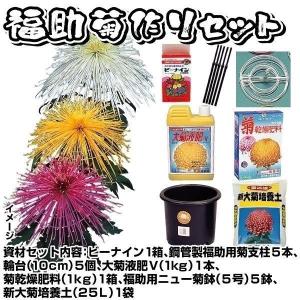 国華園 菊苗 福助・厚物苗 5種5芽＋資材セット 1組 : 花と緑 国華園