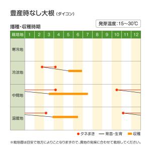 種 野菜たね ダイコン 豊産時なし大根 1袋(...の詳細画像1