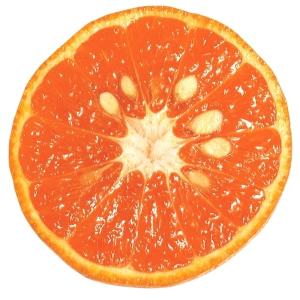 たまみ みかんの商品一覧 通販 Yahoo ショッピング