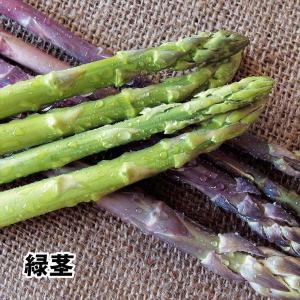 有用植物苗 アスパラガス 大株 ウェルカム 8株 / 家庭菜園 アスパラ あすぱら アスパラガスの苗 大株アスパラガス 病気に強い 自給自足 植物 国華園