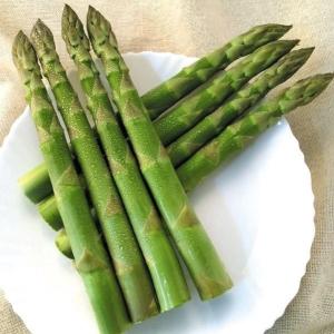 野菜の苗 ウェルカム アスパラガス苗・アスパラ苗 2L株/素掘り株 5株1