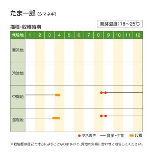 国華園 種 野菜たね タマネギ (超極早生)た...の詳細画像2