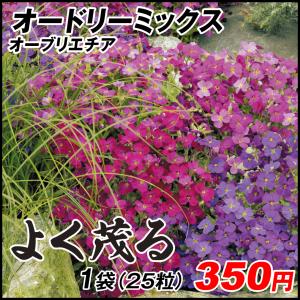 22年11月 ナズナ 花のおすすめ人気ランキング Yahoo ショッピング