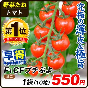 種 早得野菜たね ミニトマト F1 CFプチぷよ 1袋(10粒) /送料グループ