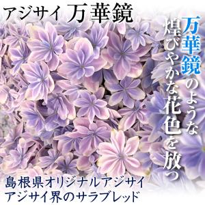 あじさいのランキングtop100 人気売れ筋ランキング Yahoo ショッピング