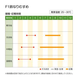 種 野菜たね ナス F1鈴なりむすめ 1袋(1...の詳細画像3