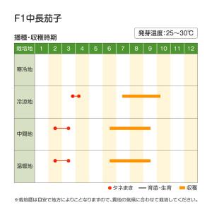 種 野菜たね ナス F1中長茄子 1袋(0.5...の詳細画像5