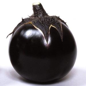 種 野菜たね ナス 賀茂なす 1袋（1ml） やさいの種 国華園