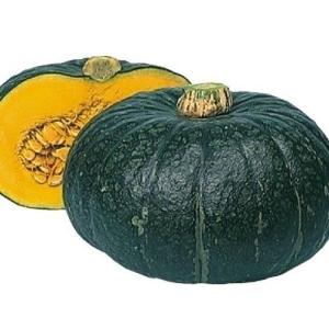 種 野菜たね カボチャ F1富くじ 1袋（5粒） やさいの種 国華園
