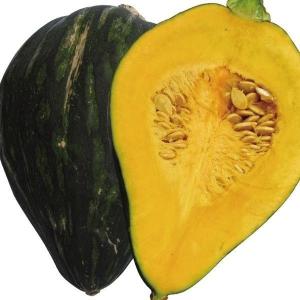 種 野菜たね カボチャ シルキースイート 1袋（5ml） やさいの種 国華園