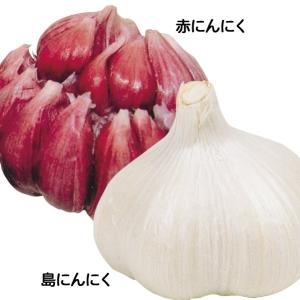 ニンニク にんにく 種球 ご当地ニンニクセット 2種1組