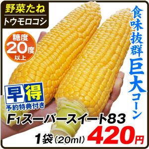 種 早得野菜たね トウモロコシ Ｆ１スーパースイート８３ 1袋(20ml) /送料グループ【早得たね】