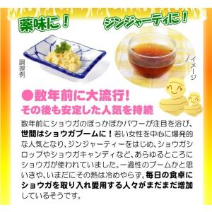 種ショウガ 大ショウガ (白肉) 1kg / ...の詳細画像4