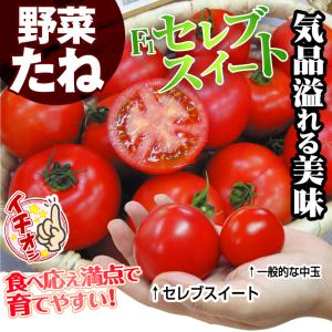 種 野菜たね 中玉トマト F1セレブスイートR...の詳細画像2