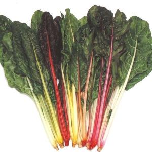 種 野菜たね 菜類 スイスチャードMIX 1袋（3ml） やさいの種 国華園