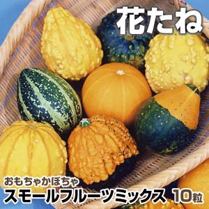 おもちゃかぼちゃの種の商品一覧 通販 Yahoo ショッピング