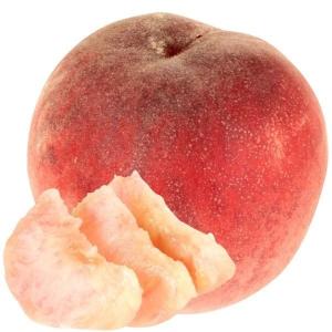 果樹苗 フェイジョア パイナップルジェム 1株 爆買 : 花と緑 国華園