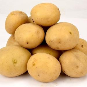 じゃがいも種芋 レッドムーン 3kg : 花と緑 国華園 - 通販 - Yahoo