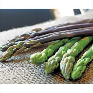 アスパラガス苗の商品一覧 通販 Yahoo ショッピング