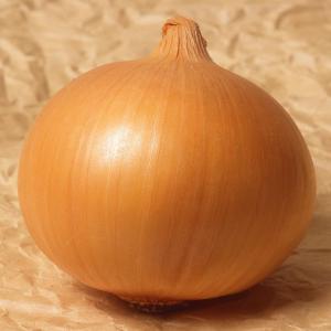 国華園 種 野菜たね タマネギ （中晩生）玉錦 1袋（3ml） 玉葱 玉ねぎ やさいの種