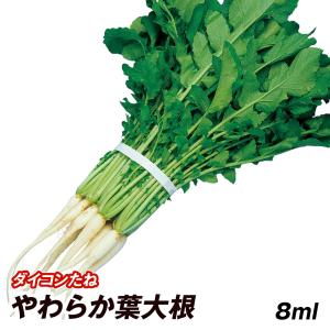 かいわれだいこん様用 楽天市場】野菜 かいわれ大根の通販